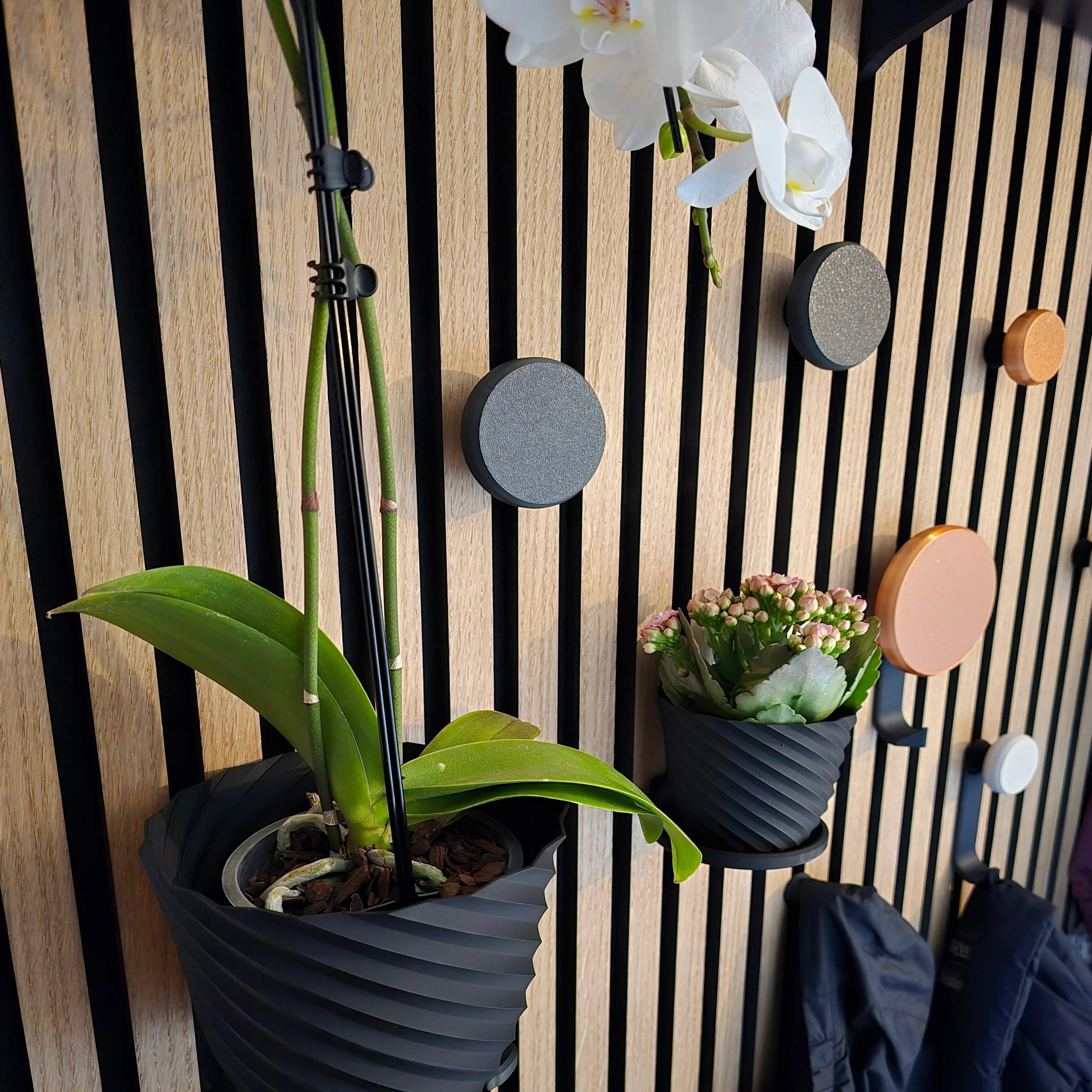 WallTune rimapaneeli lisätarvikkeita, nuppeja koukkuja