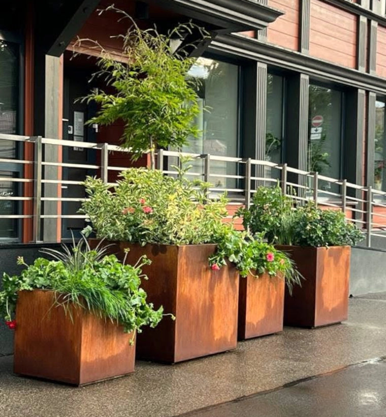 Cozo Corten teräs istutusastiat