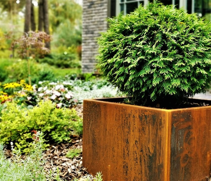 Cozo Corten teräs istutusastiat